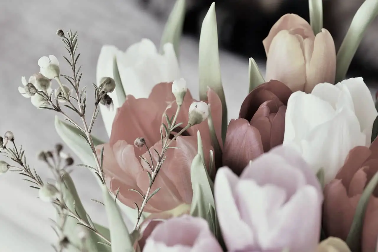 Wedding bouquets with tulips: a sign of eternal love