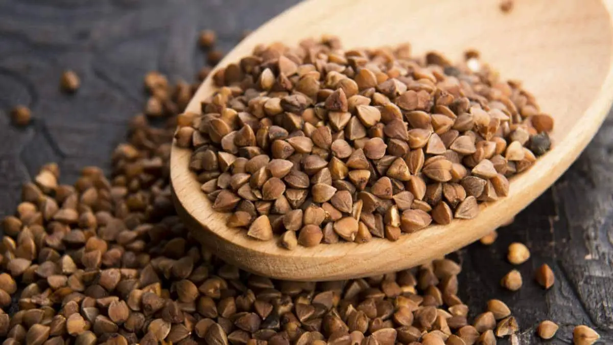What is buckwheat: characteristics, properties and much more