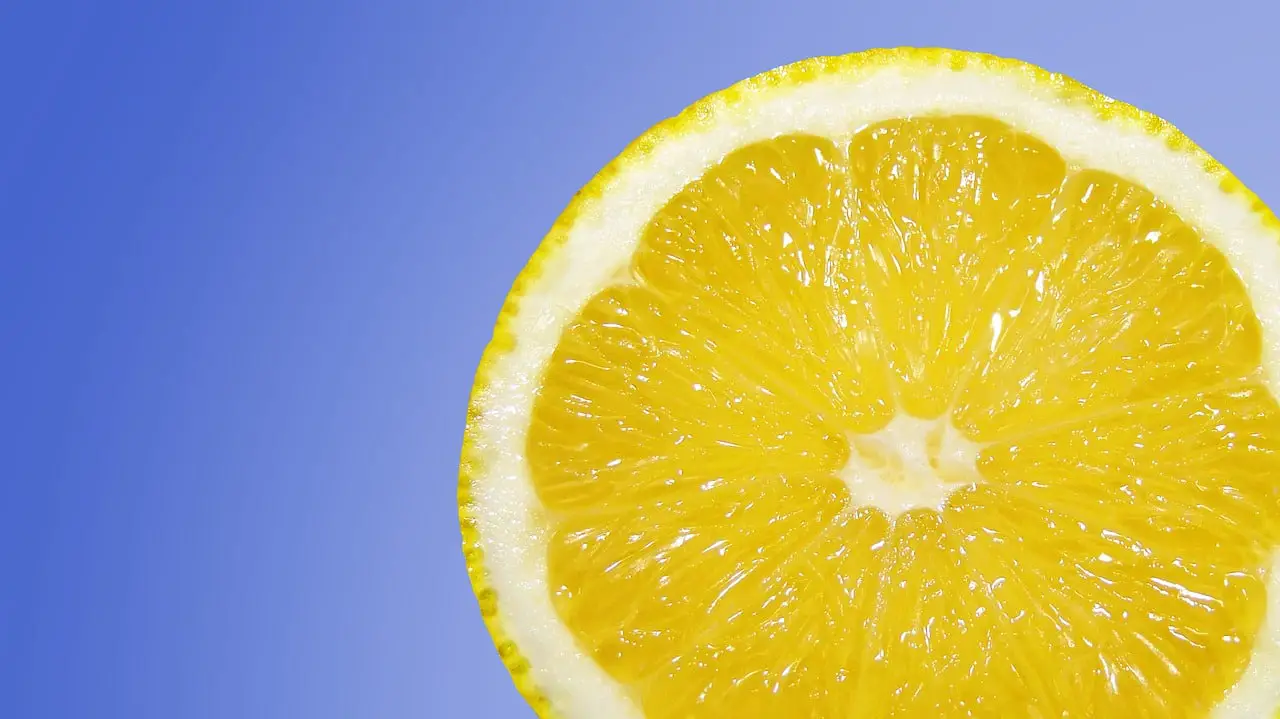 Is lemon a fruit? What are fruits, their importance and the lemon